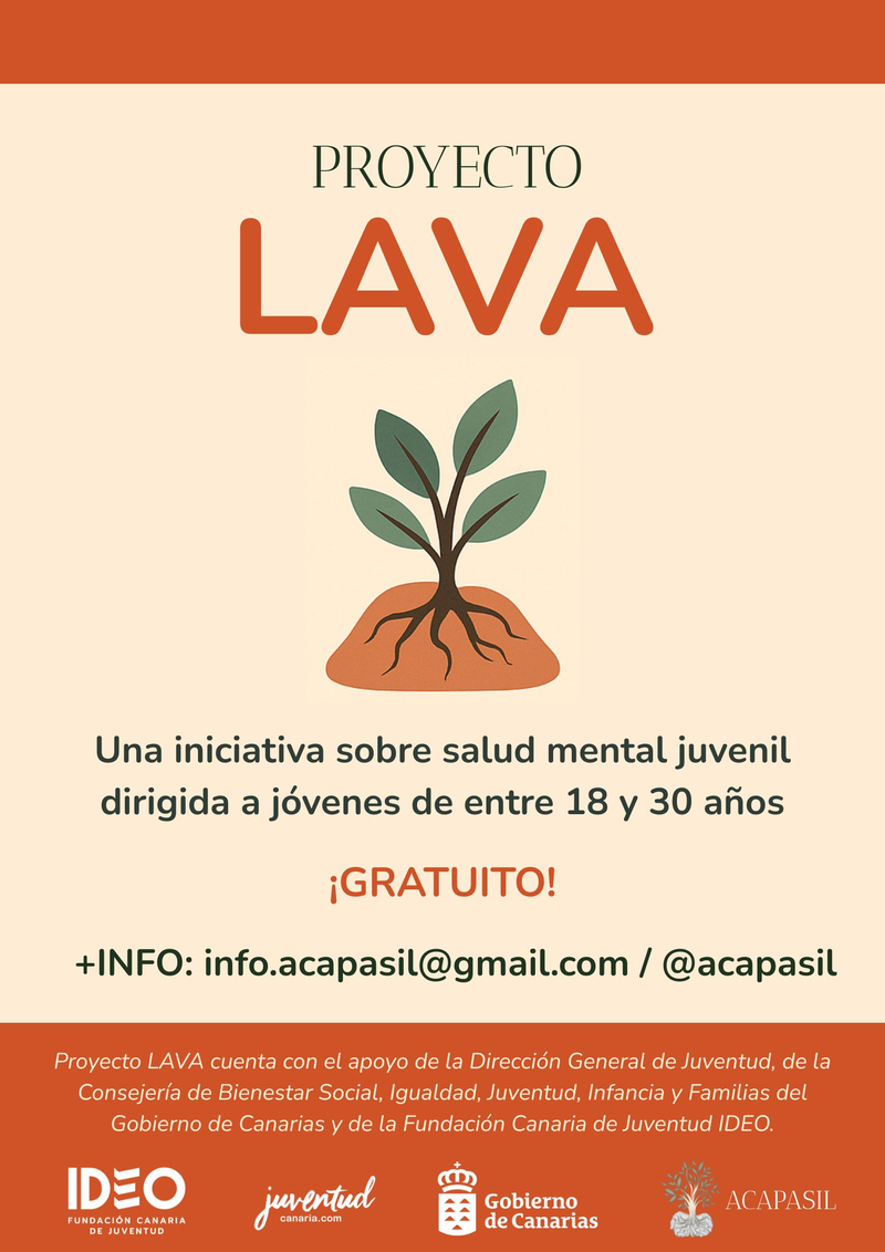 Cartel Proyecto Lava